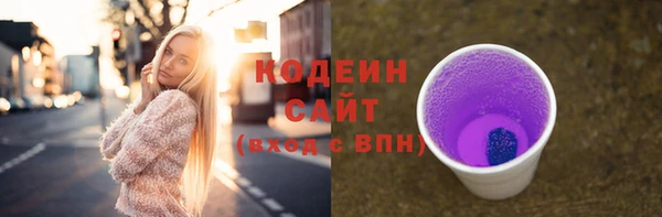 спиды Дмитриев