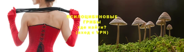 бошки Дмитровск