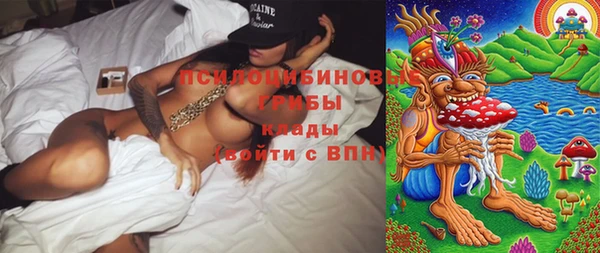 спиды Дмитриев